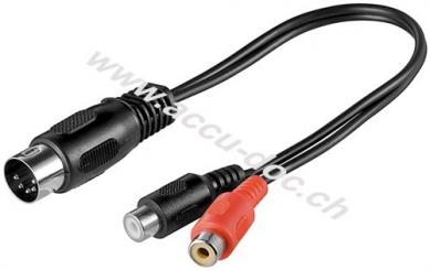 Audio Kabeladapter, DIN-Stecker zu stereo Cinch-Buchse, 0.2 m - DIN-Stecker 180° (5-Pin) > 2x Cinch-Buchse (Audio links/rechts) 