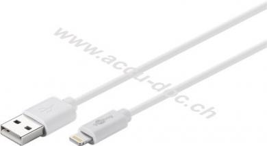 Lightning USB Lade- und Synchronisationskabel, 2 m, Weiß - MFi Kabel für Apple iPhone/iPad Weiß 