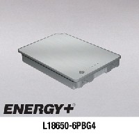 APPLE L18650-6PBG4 
