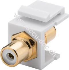 Keystone Modul Cinch/RCA, Weiß - 2x Cinch-Buchse, weiß, vergoldet 