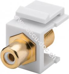 Keystone Modul Cinch/RCA, Weiß - 16,2 mm Breite, Cinch-Buchse Weiß > F-Buchse, vergoldet 