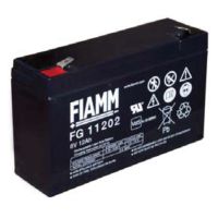 FG11202 FIAMM Blei Akku 