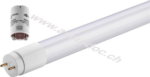 LED T8-Röhre, 10 W, kalt-weiß - 600 mm, G13, ersetzt 75 W, kalt-weiß 