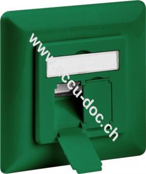 CAT 6a Unterputzdose (UP), Grün, Grün - 2x RJ45 Netzwerkdose, geschirmt 