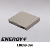 APPLE L18650-8G4 
