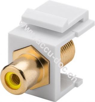 Keystone Modul Cinch/RCA, Gelb - 16,2 mm Breite, Cinch-Buchse Gelb > F-Buchse, vergoldet 