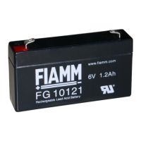 FG10121 FIAMM Blei Akku 