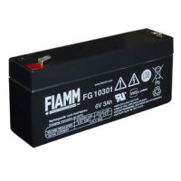 FG10301 FIAMM Blei Akku 