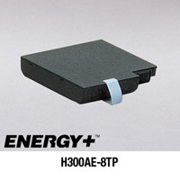 IBM H300AE-8TP 